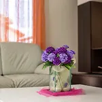 Eva's House *